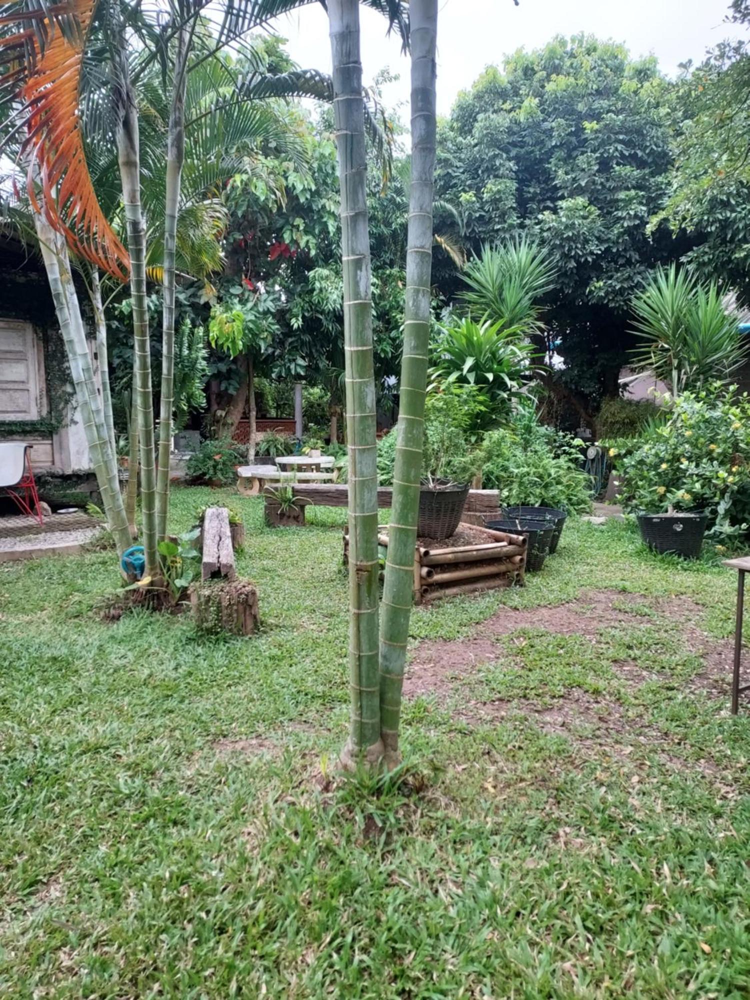 Kwanlah Homestay メーチェム エクステリア 写真