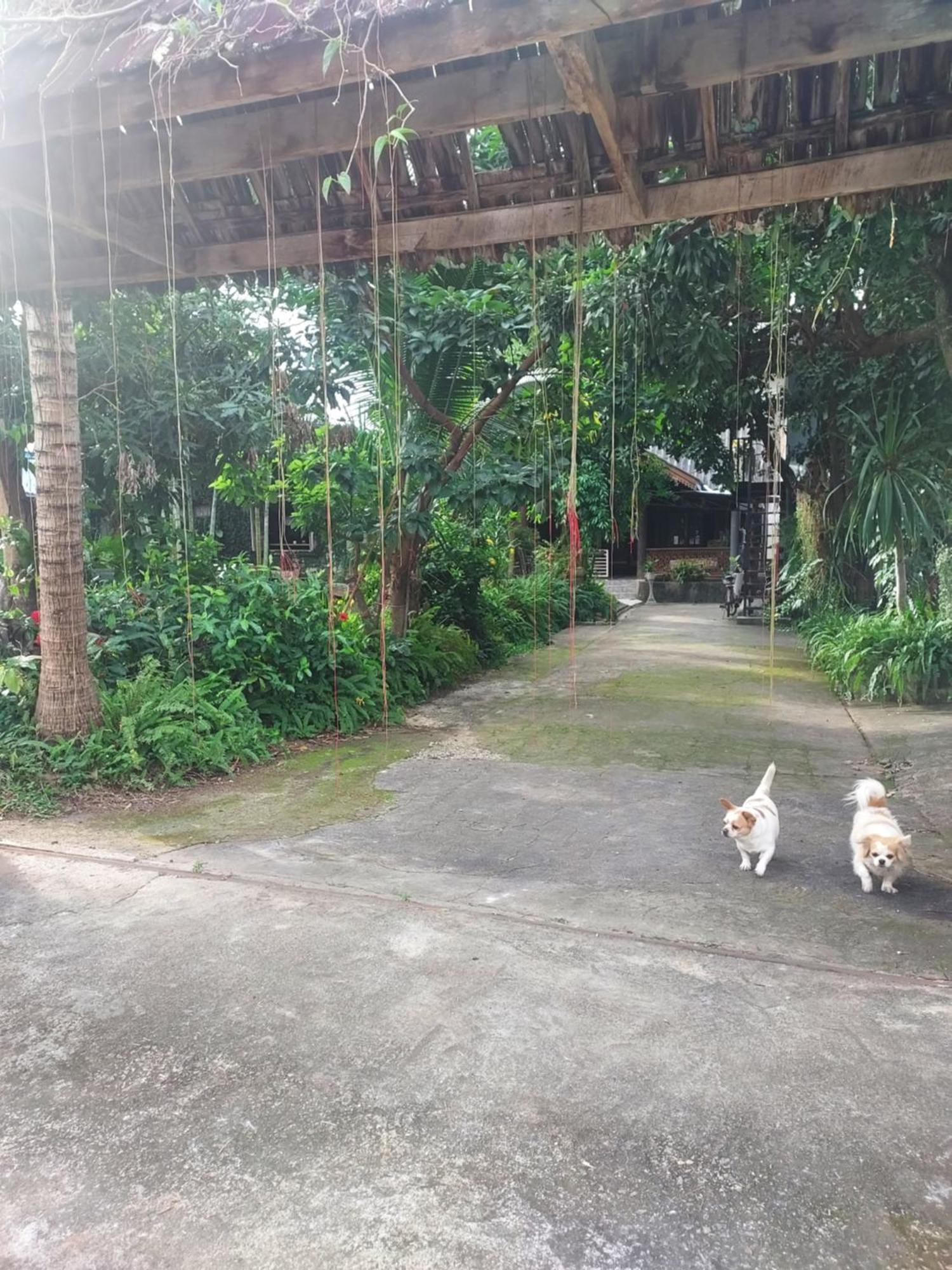 Kwanlah Homestay メーチェム エクステリア 写真