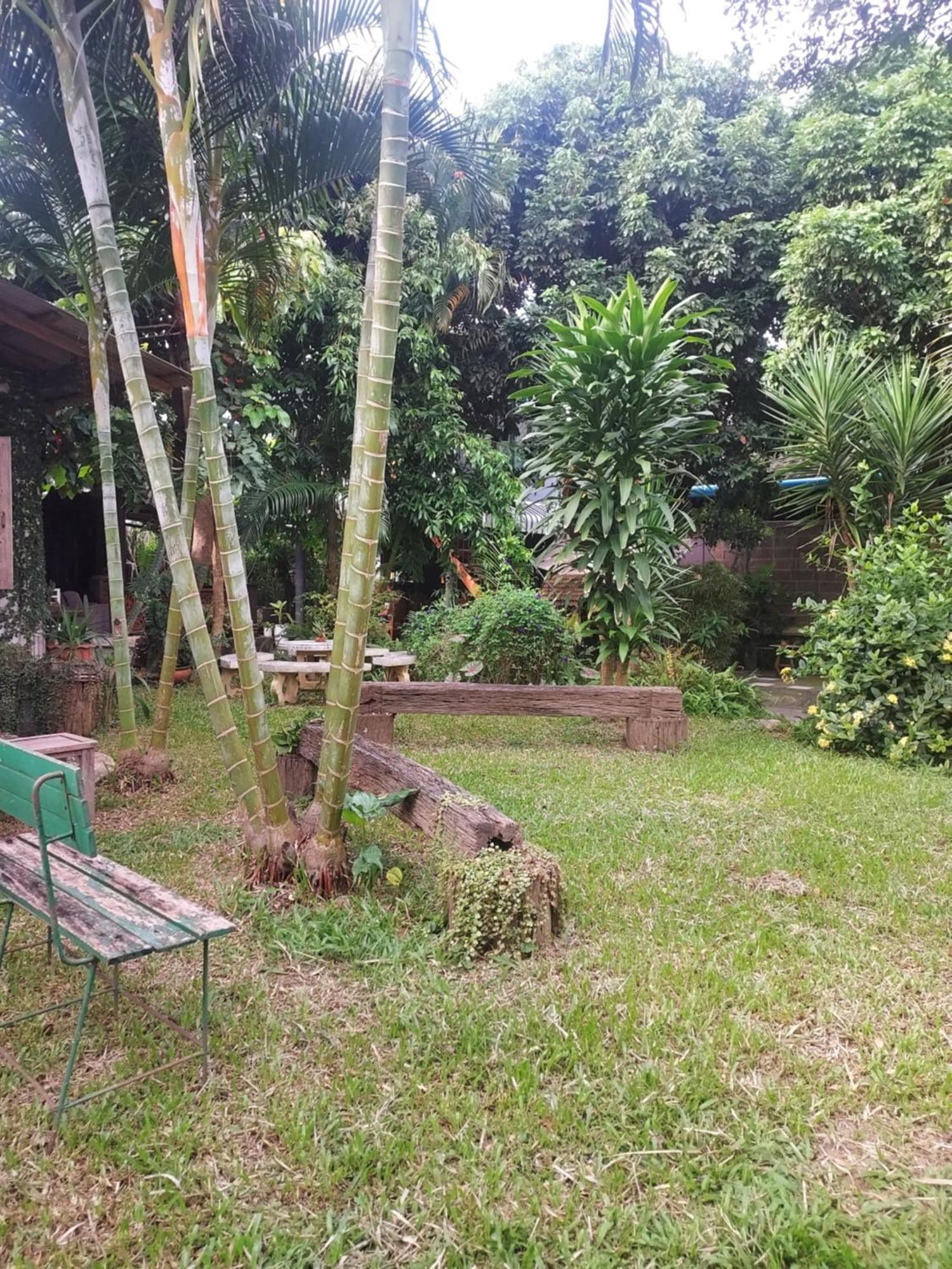 Kwanlah Homestay メーチェム エクステリア 写真